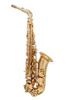 Selmer Signature - Alto Sax
