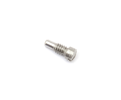 Pivot Screw