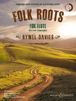 Folk Roots For Flute Davies Book & Cd