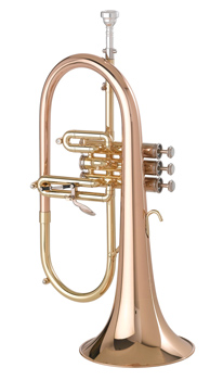 Getzen Custom 3895GB - Flugel Horn