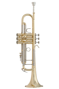 Bach Stradivarius 37L 180ML - Standard Lead Pipe Bb Trumpet