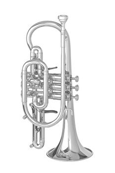 YAMAHA B♭cornet neo YCR8335S YCR8335GS NEO XENO BB CORNET, SILVER-PLATED | Tom Lee Music