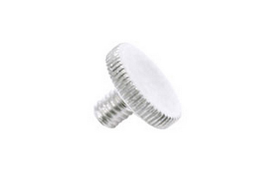 Yamaha Lyre Holder Screw - Silver Plated - fits most models