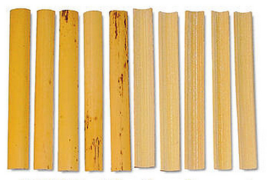 Pisoni Oboe Cane - Pre-gouged