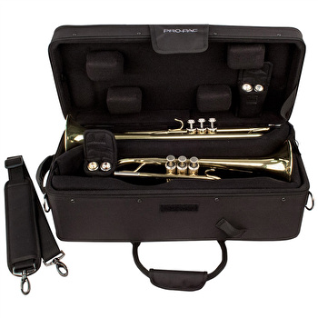 Protec IP301D - Double Trumpet Case - iPAC