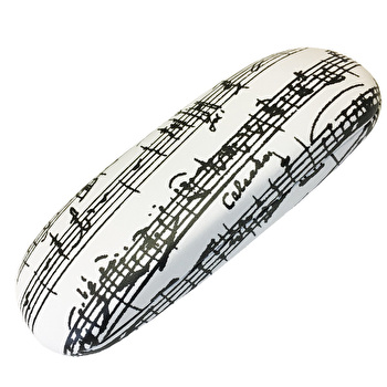 Glasses Case