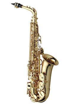 Yanagisawa AWO1U - Unlacquered Alto Saxophone