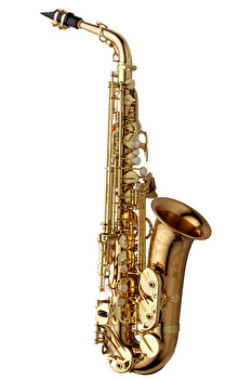 Yanagisawa AWO20 - Alto Saxophone