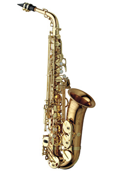 Yanagisawa AWO20U - Unlacquered Alto Saxophone
