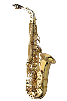 Yanagisawa AWO30 - Alto Saxophone