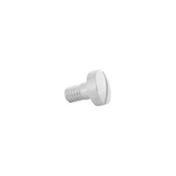 Trigger Boss Screw - Silver Plated