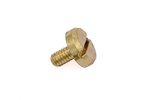 Rotor Bearing Screw