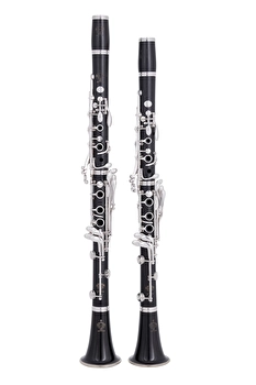Buffet R13 Prestige Pair - Bb/A Clarinet (531152/529995)