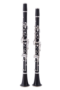 Buffet R13 Pair  - Bb/A Clarinets (211513/204782)