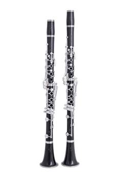 Buffet RC Pair - Bb/A Clarinets (281208/271143)