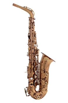 Wood Stone Super Custom Model SCX-VL - Alto Sax